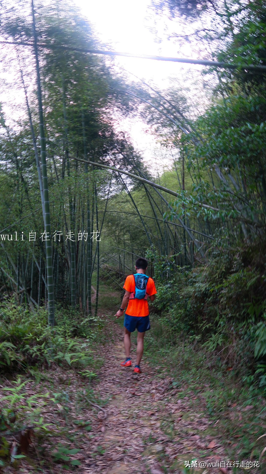 福州十八重溪徒步路线,福州森林公园登山徒步路线
