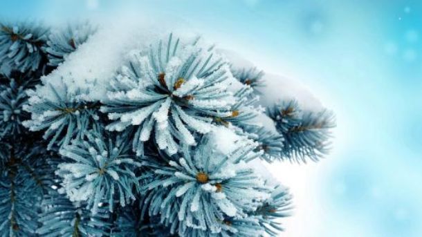 寄情于山水之间的唯美古诗词,寄情山水悠闲自得的诗词