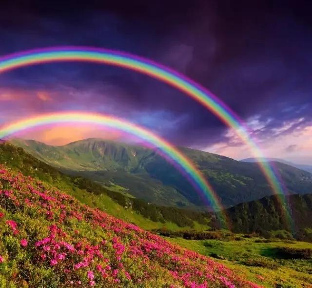 全部的成语收藏起来回家教给孩子,如何和孩子一起积累成语