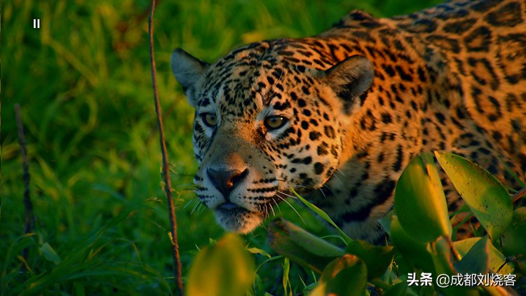 2019年我败家的十大数码清单