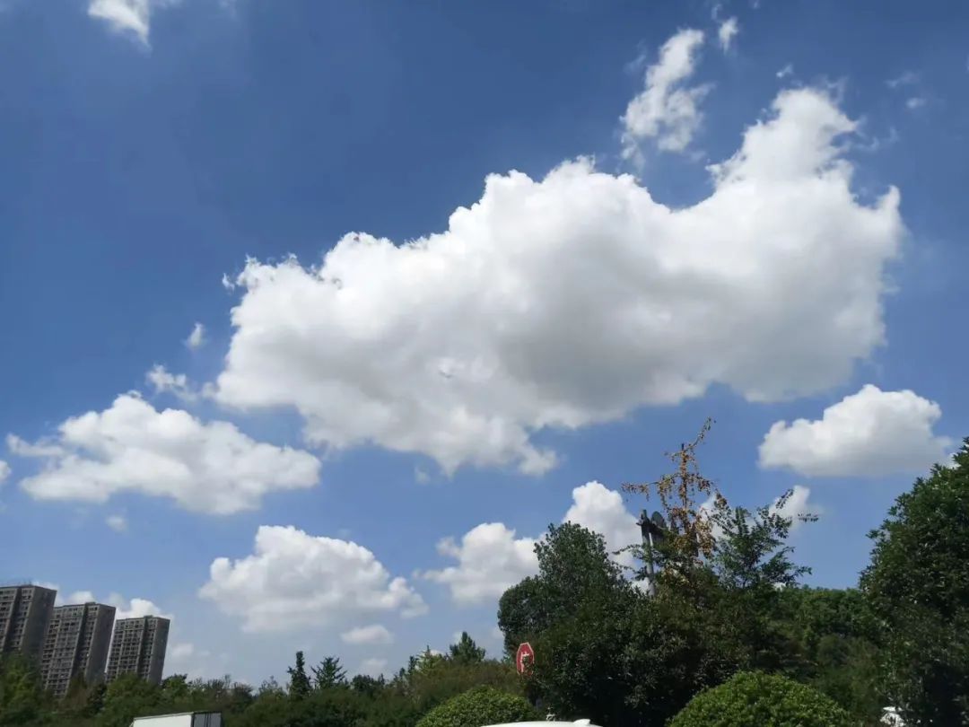 济南的楼市将要放开吗,济南楼市价格最近又涨吗