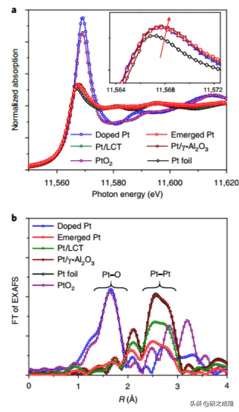 最新NatureChemistry:保护Pt活性