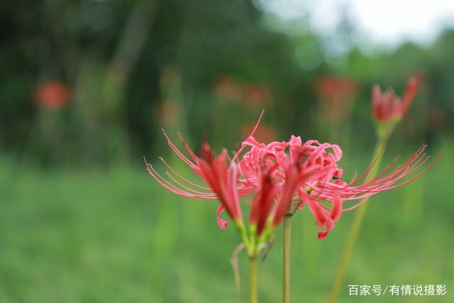 24-105镜头对比测试,怎样选相机镜头