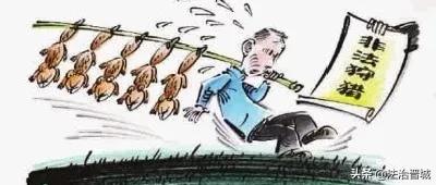 阳城:贪食野味电野猪获刑赔钱悔当初