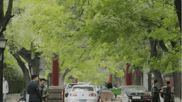 北京姑娘继承胡同老房，地板铺镜子、浴厕全透明，一个人住太爽