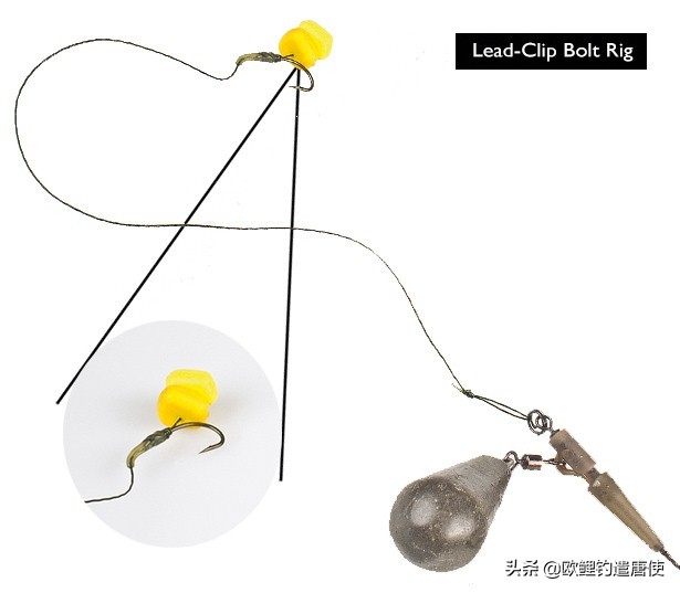 欧鲤钓各种钓组优势,话说欧鲤钓之铅坠篇
