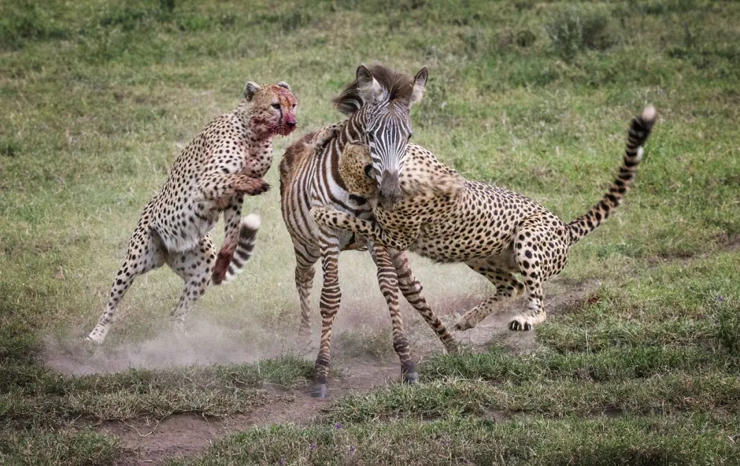 香港第14届全国摄影艺术展,第29届全国摄影艺术展览获奖名单