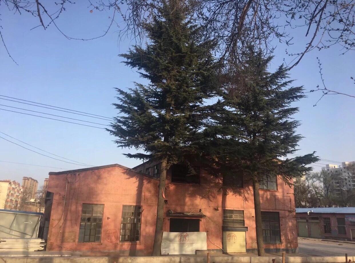 西北第一枪贺丰小说,西北第一枪厂介绍