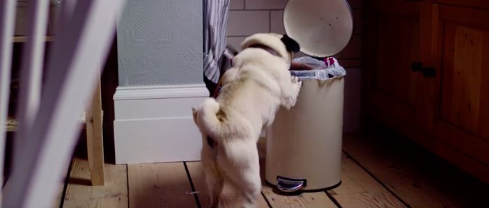 这周电影都看啥,这周即将播出的好看电影