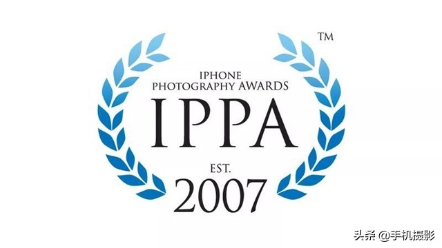 ippa摄影大赛年度总冠军,ippa摄影大赛2014
