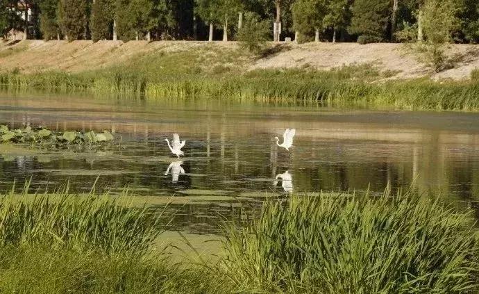 河长制治理图片,河长制解决方案