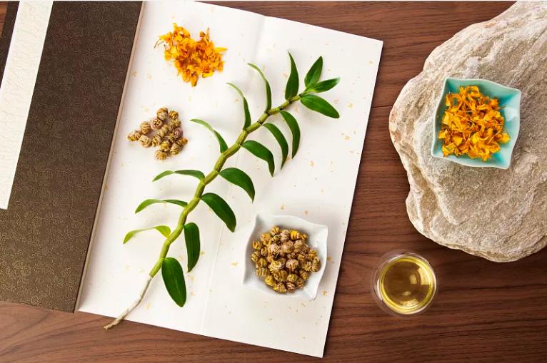 三伏天最好的汤清热解暑祛湿强身,抵御南方湿热健脾祛湿汤