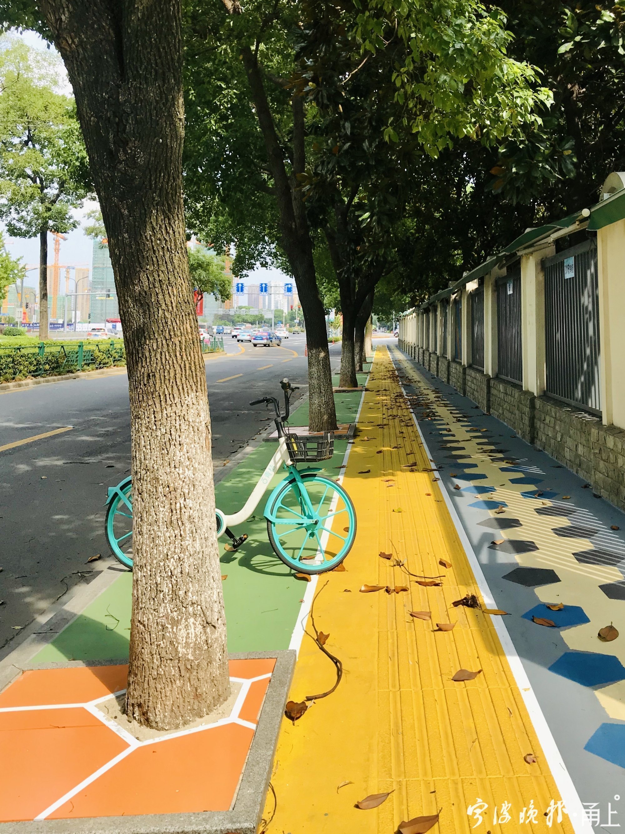 宁波最美上学路,宁波鄞州区新增5条最美上学路