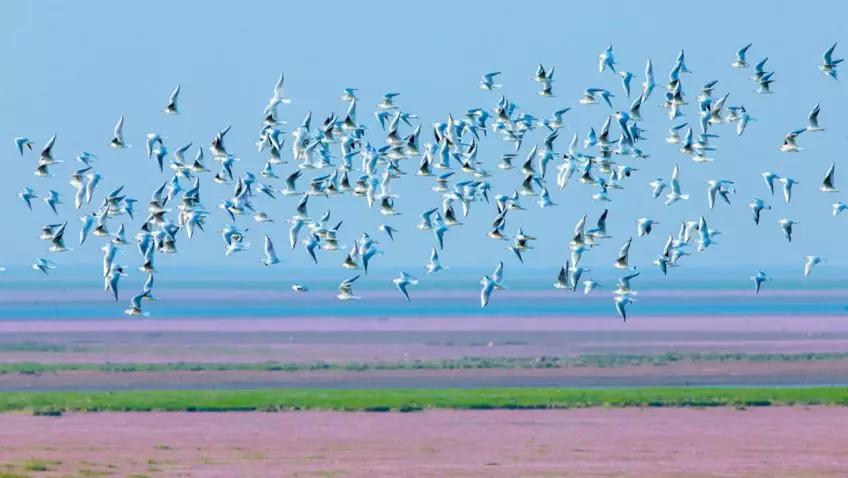 鄱湖之滨鱼米之乡,江西鄱阳湖