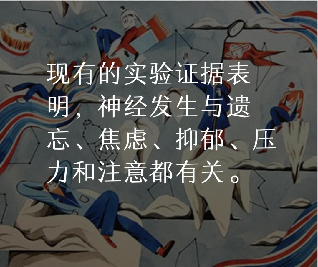 成人大脑神经元视频,人体大脑神经元有多少