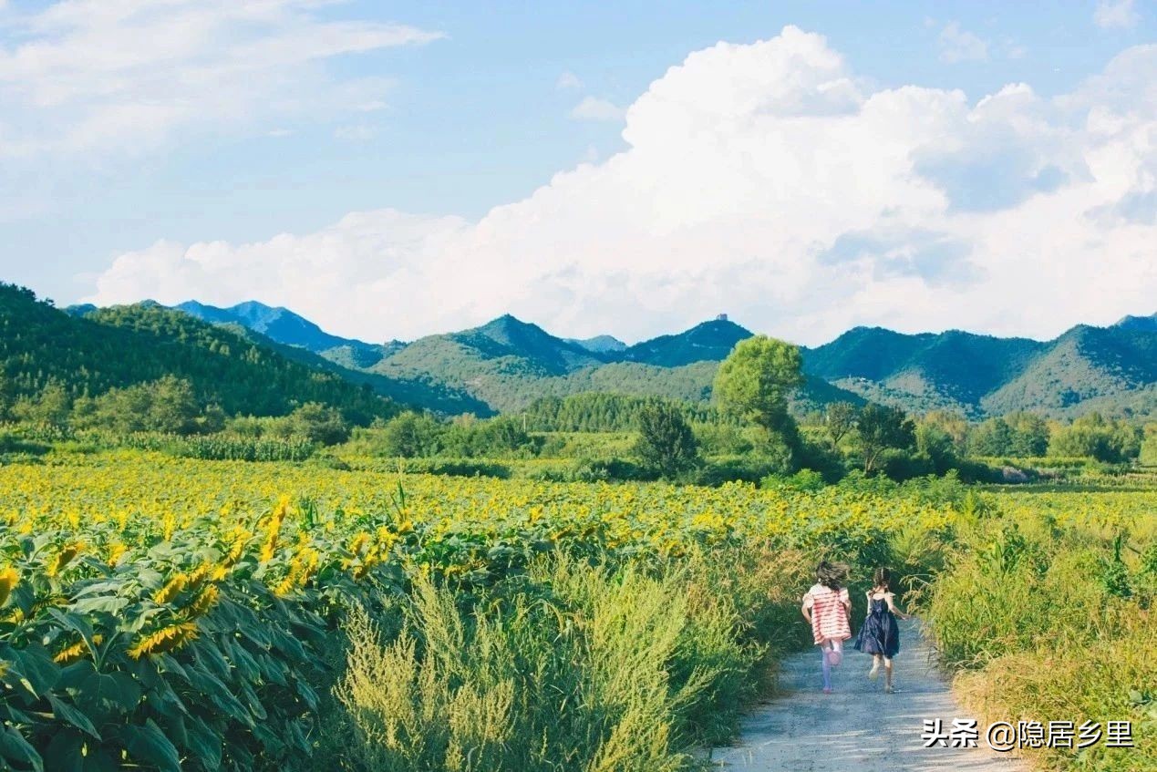 亲子京郊游红叶,国庆去北京看红叶攻略