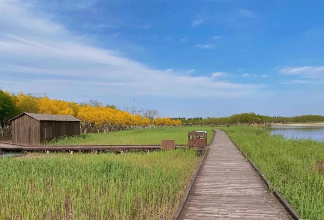 私藏拍照最好的地方,天津适合拍照又安静的地方