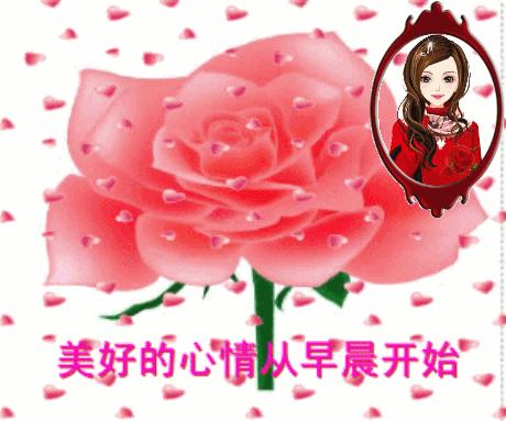 最新早晨好图片问候表情包,2019早上问候动态表情图