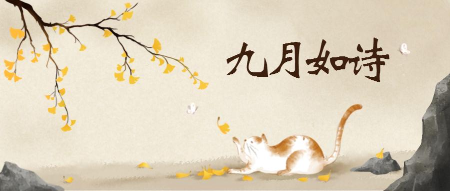 亿租融资租赁,医疗器械融资租赁公司排名