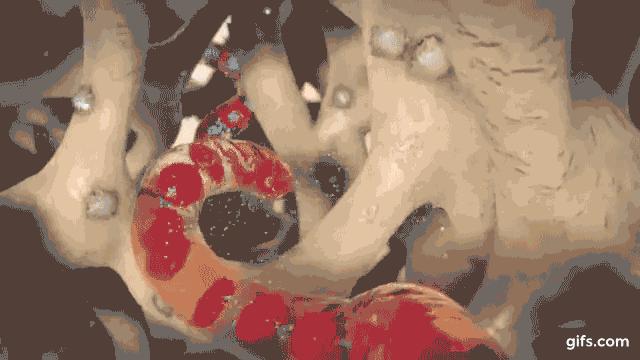 透析病人肌酐急速上升为什么,透析三次肌酐从1100降到500多