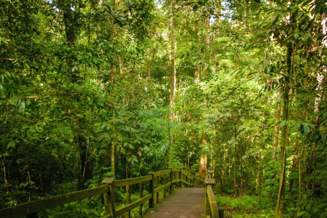 用黄金做房顶，人均5辆车，这个东南亚神秘国度比阿联酋还土豪