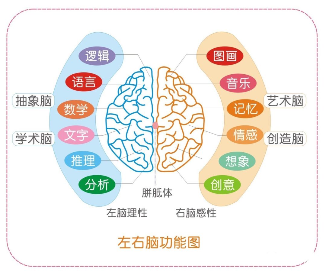 乐尔教育怎么读经,乐尔教育全脑开发