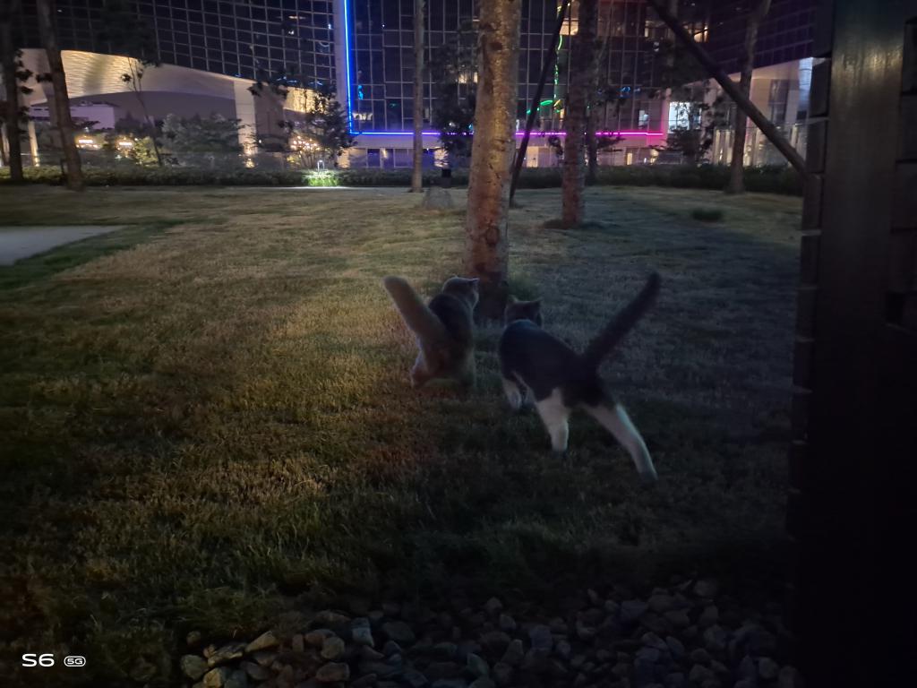 小扎测评|vivoS6：拍照时握在手里的小确幸