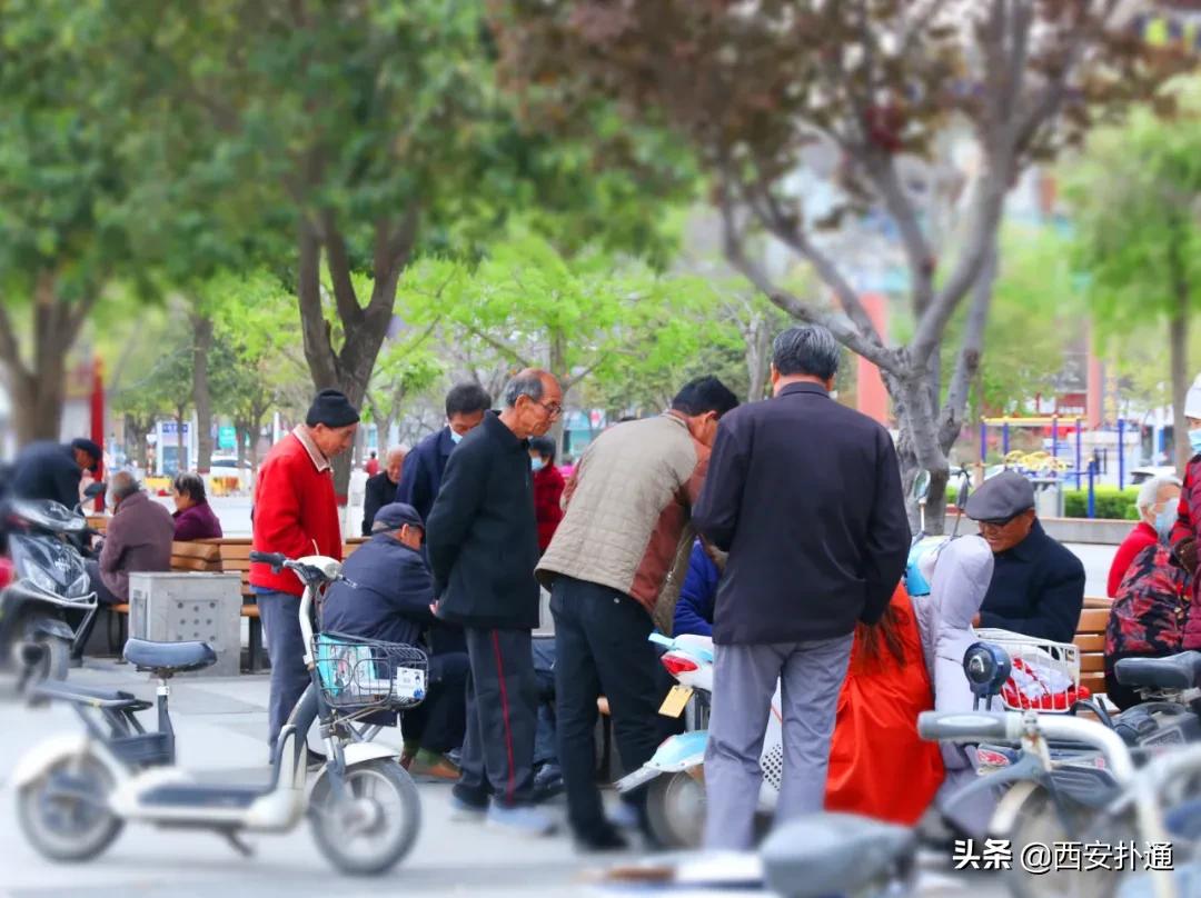 蒲城县好吃的地方推荐晚上,蒲城吃的最多的地方