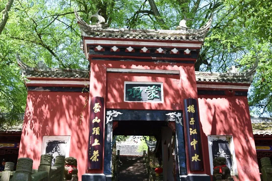 我们争分夺秒加班加点,就是为了奉上今春这第一波蒙顶皇茶!