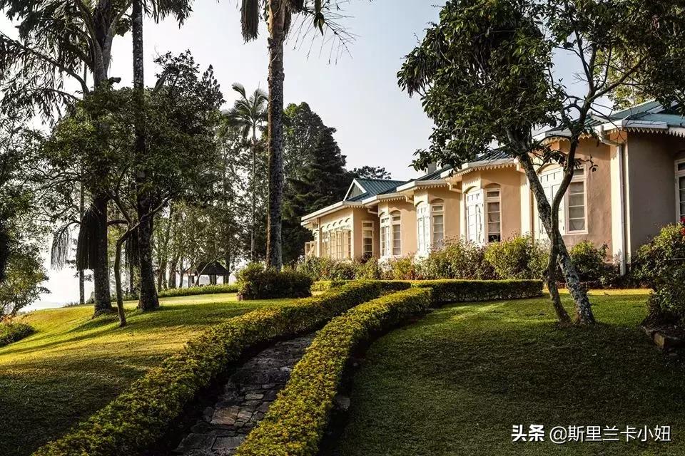 锡兰藏着3家罗莱夏朵：英式茶园野奢帐篷和悬崖海滨，随时去隐居