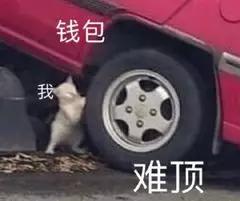 上海市职工公积金是强制交吗,上海不交社保公积金合法吗