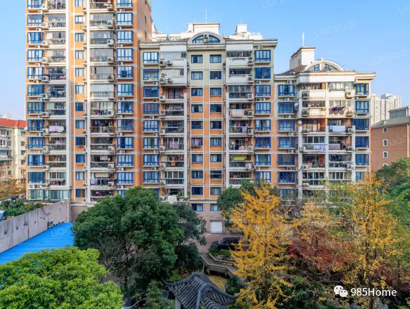 985home,上海师范大学附属小学梯队