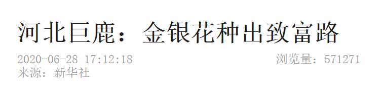 中国邢台头条,邢台新媒体头条