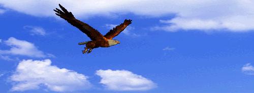 操作系统从技术层面上来讲,什么叫科控自动化操作系统