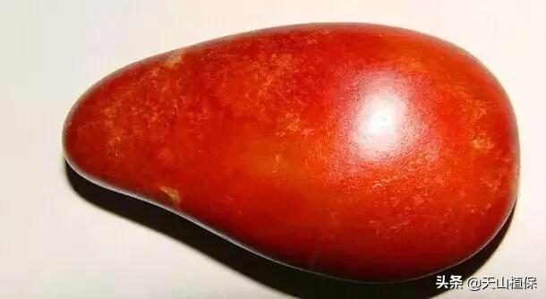 怎么捡到价值极高的石头,捡到一块石头价值千万