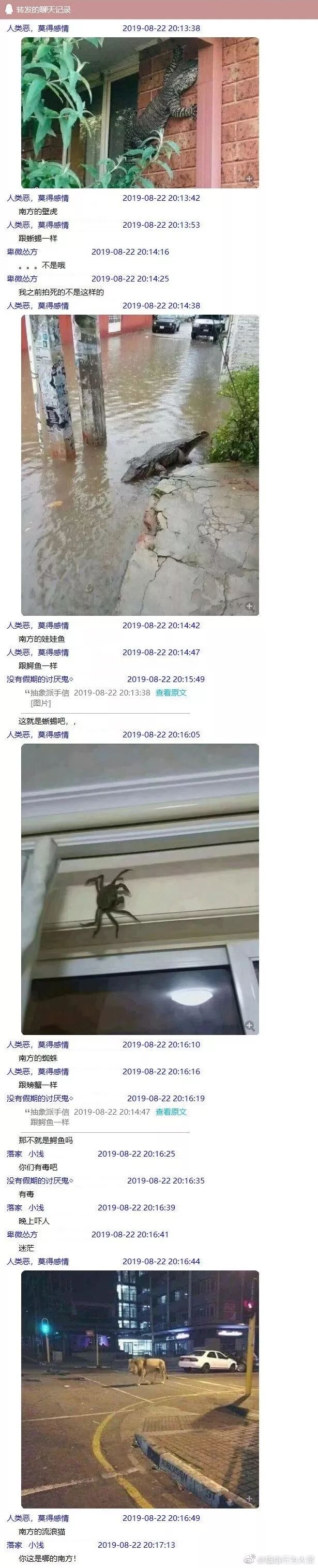 来自外卖小哥的霸道段子,关于外卖小哥的挺火的段子