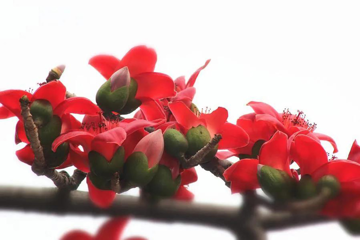 艾美集团向美而生让女性力量因爱绽放