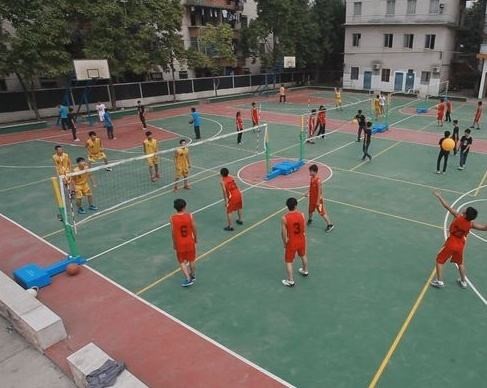 为什么中国排球比较普及,为什么中国排球能打出来