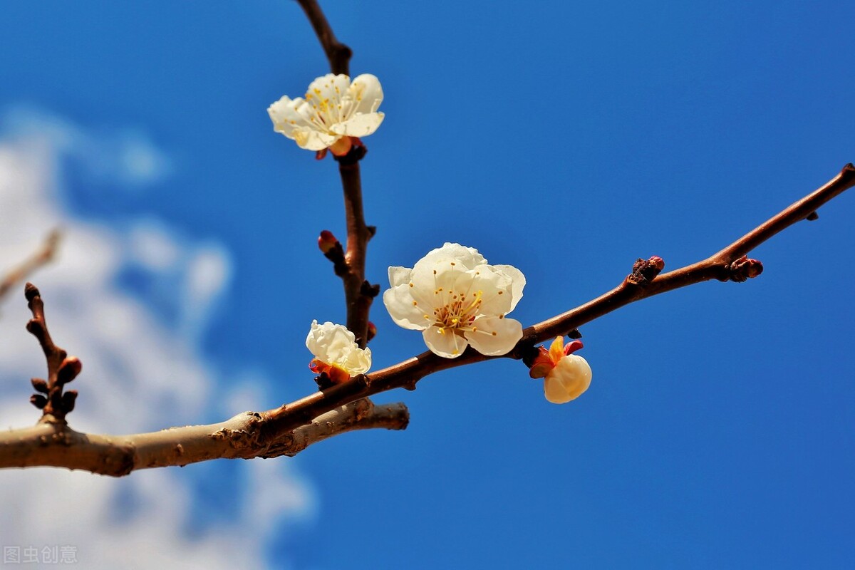 写出好诗的六大要素,如何写好诗的方法和技巧