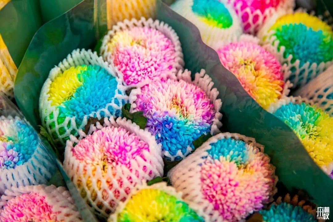 深夜去广州的花卉市场买花,如何逛斗南花卉市场买花便宜