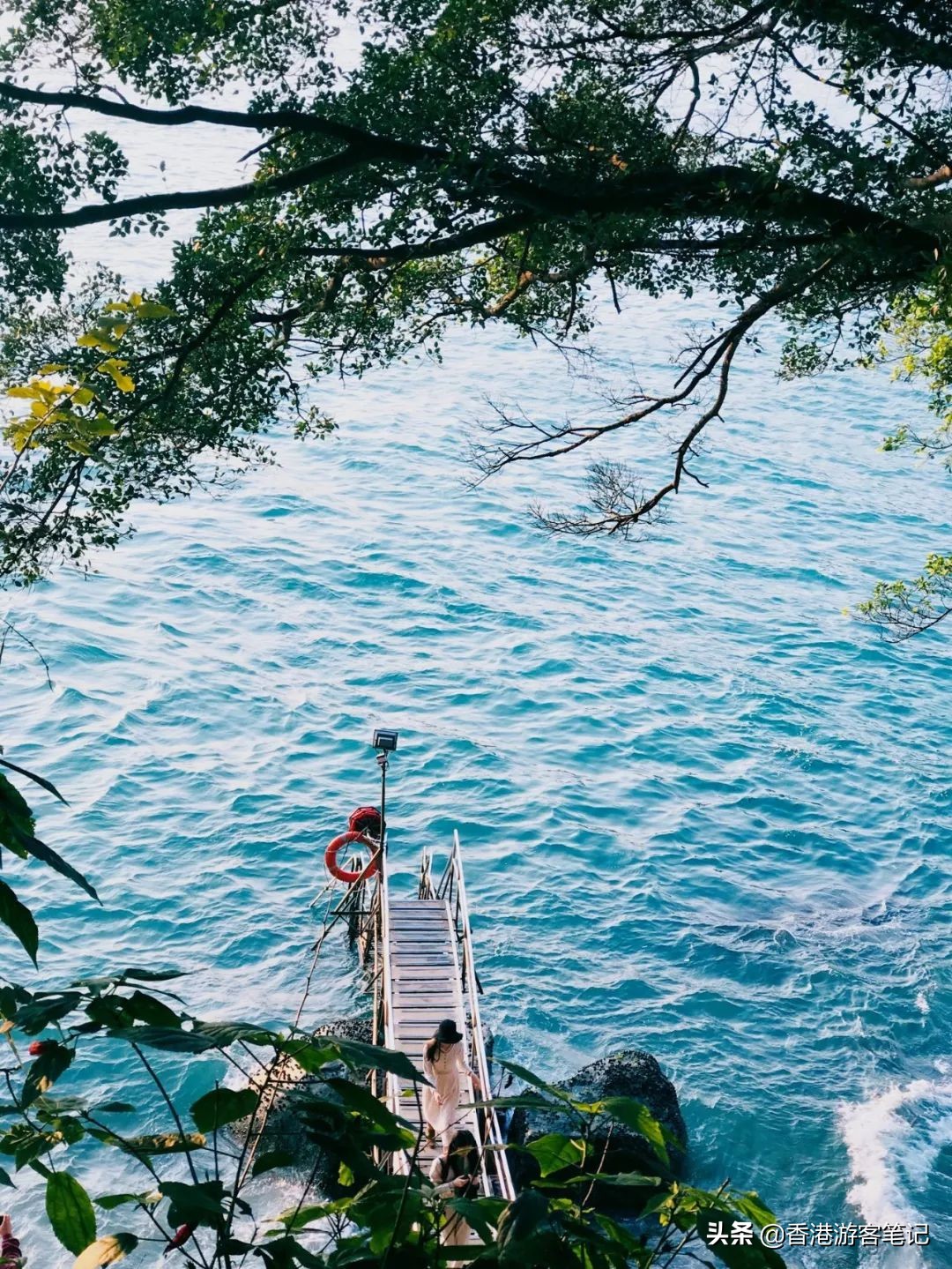 香港打卡地彩虹邨,香港景点彩虹邨