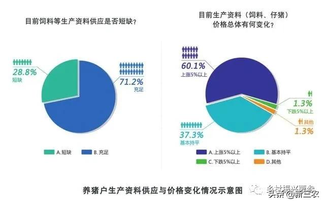 生猪养殖户目前养殖情况,中规模养殖生猪养殖成本分析