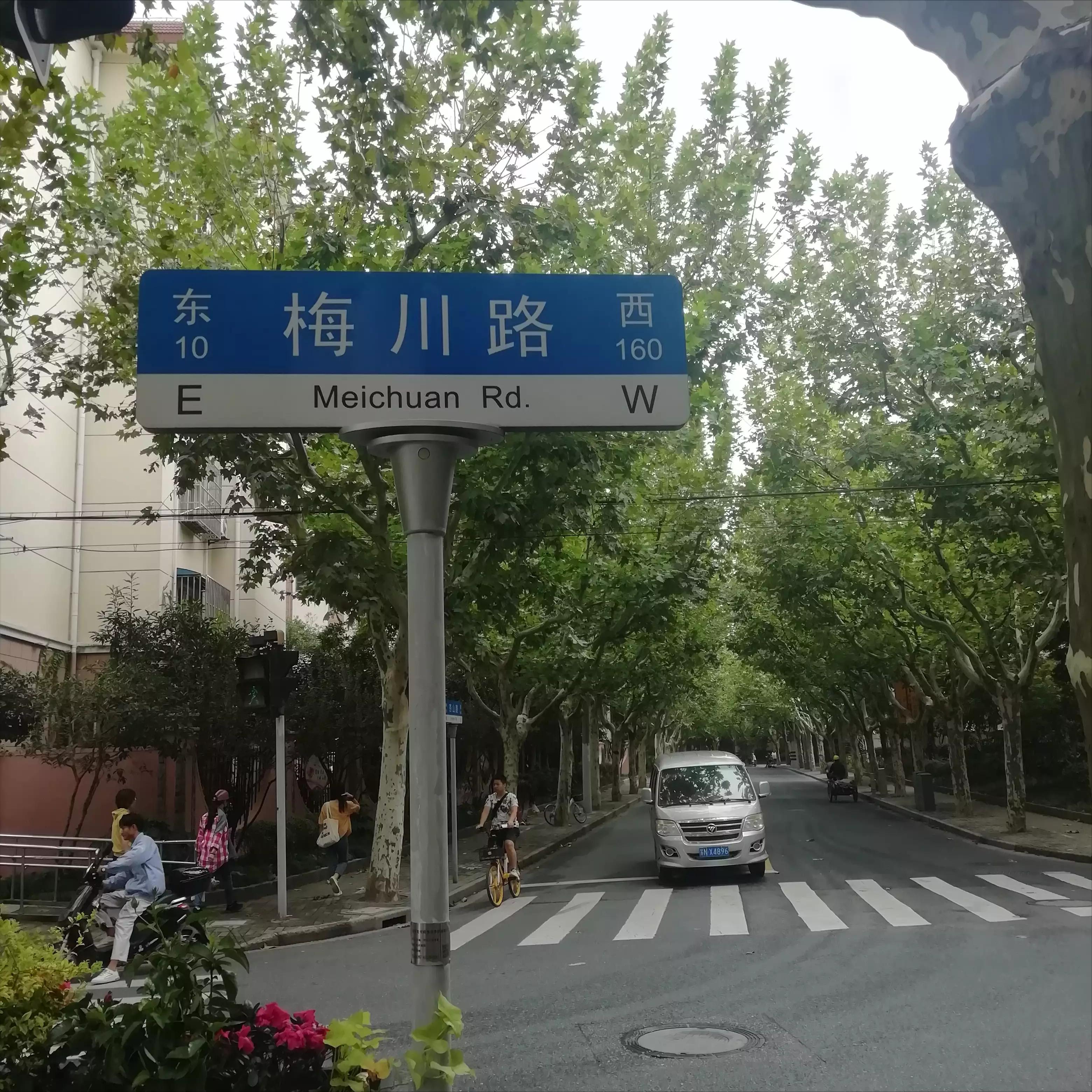 此劳模新村何以植物命名马路，以至美得像江南园林？