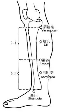 灸哪个穴位可以瘦肚子,为什么女人先胖肚子和臀部