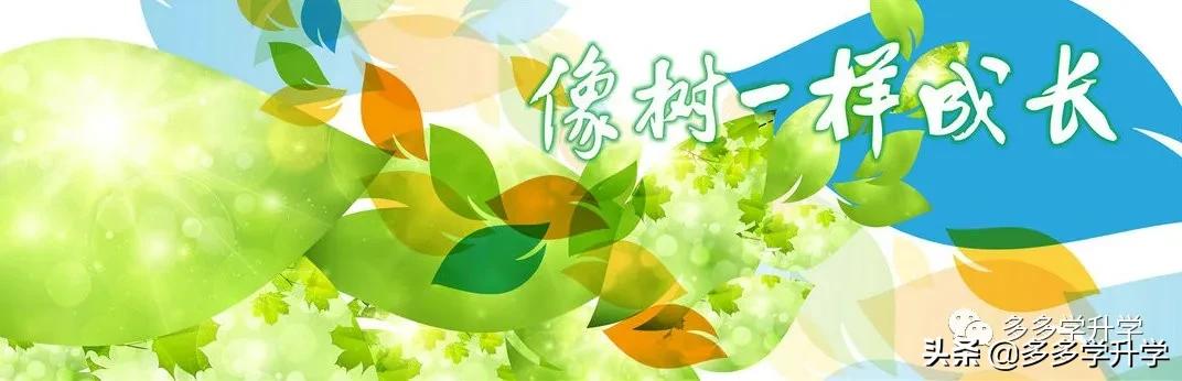 深圳南山外国语学校入学条件,深圳南山外国语学校深汕学校