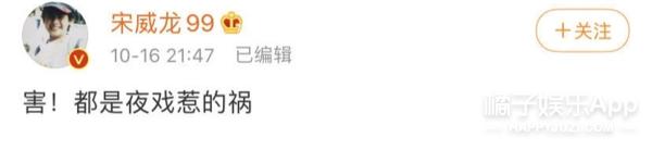 金鹰开幕式谭松韵宋茜,宋茜金鹰造型被嘲土肥圆