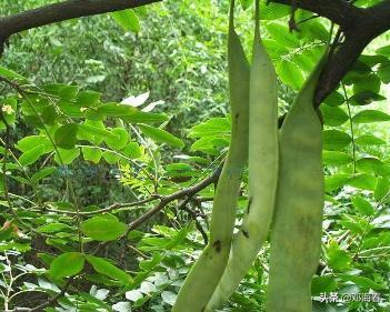 古人没有沐浴露和香皂，如何洗澡？皇帝去泡温泉，老百姓怎么办？