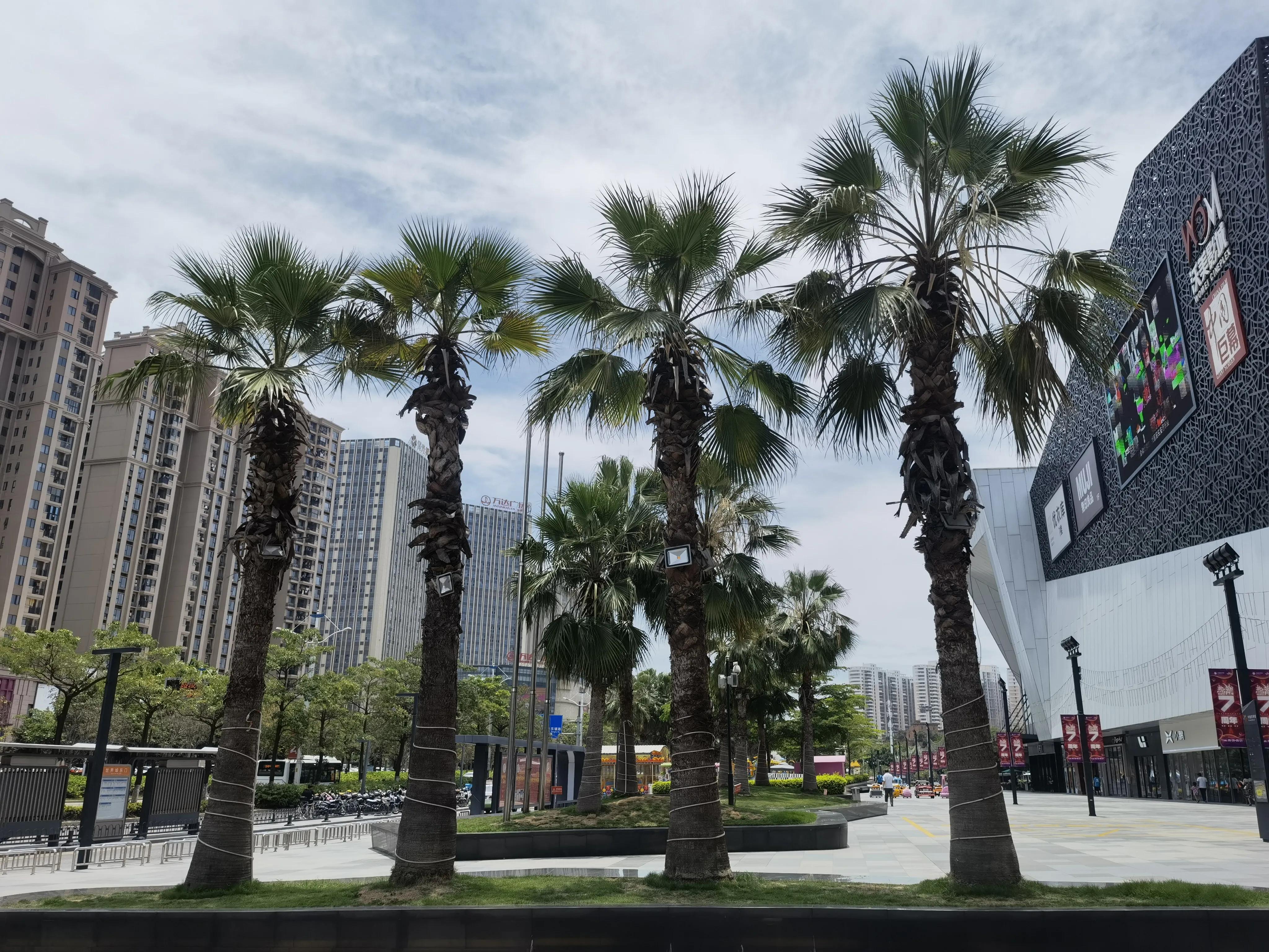 福建泉州经济领域,泉州在福建产业体系里面的定位