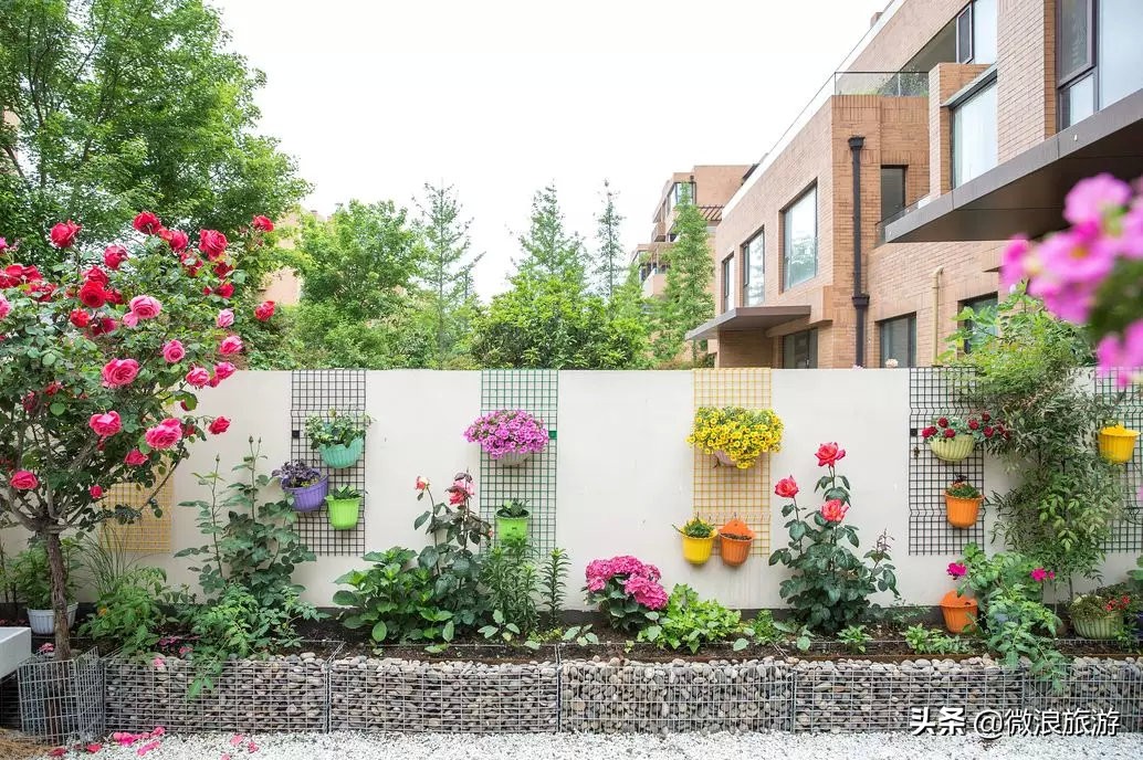 白鹭湾的“选美大赛”，谁是你心中最美的“姑娘”