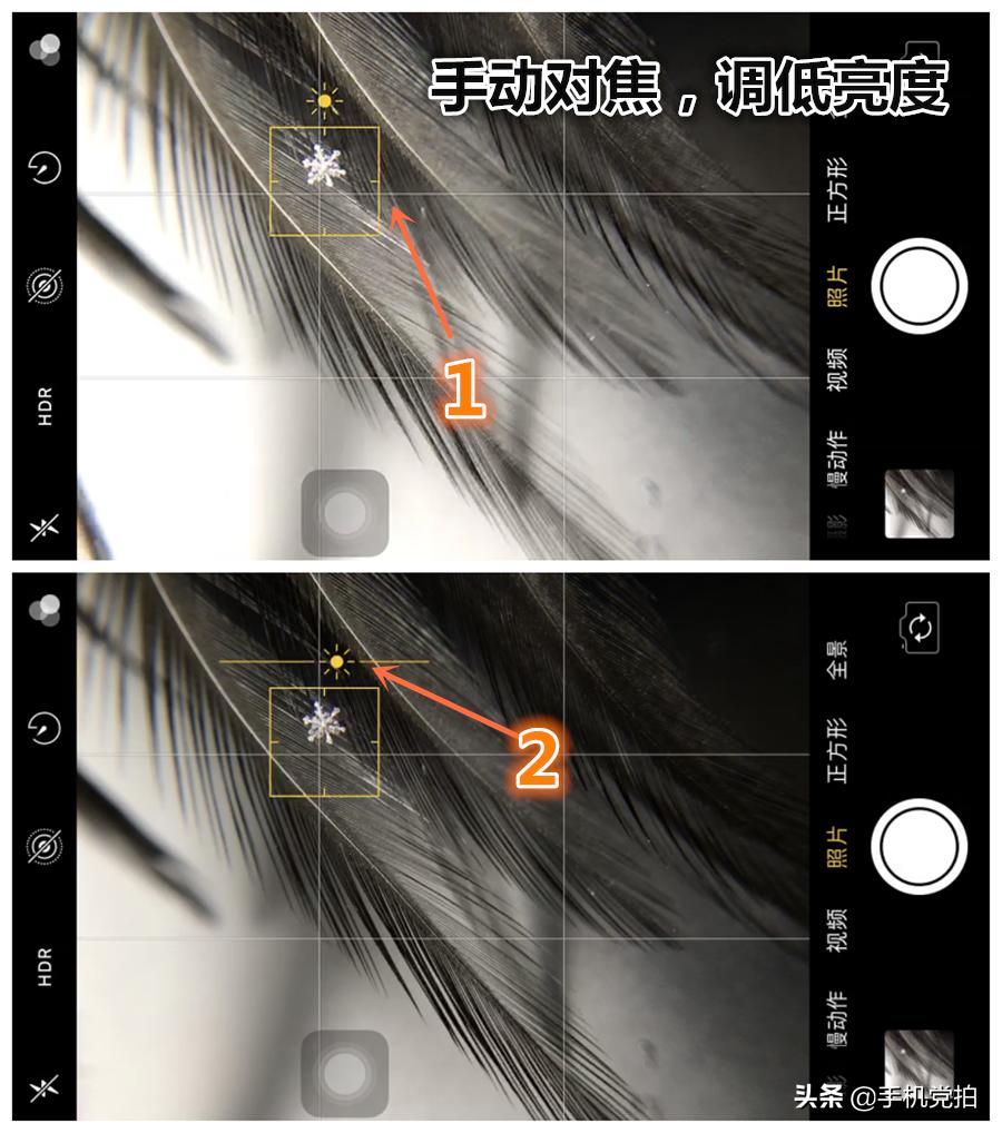 手机拍摄雪花的正确方法,手机拍雪花微距